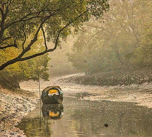 1 Day Sundarban Tour